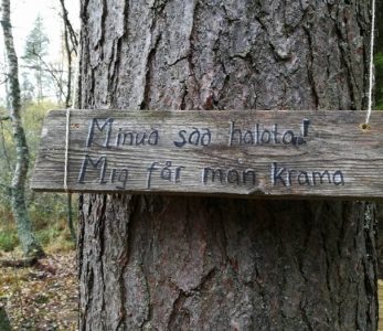 Esteettömästä elämysreitistä luontohyödyt irti Nuorisokeskus Villa Elbassa