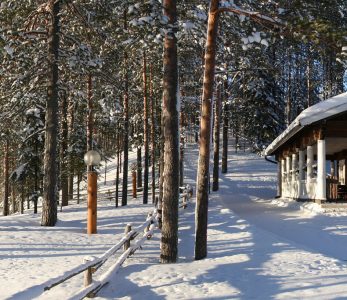 Metsäkartano talvella.