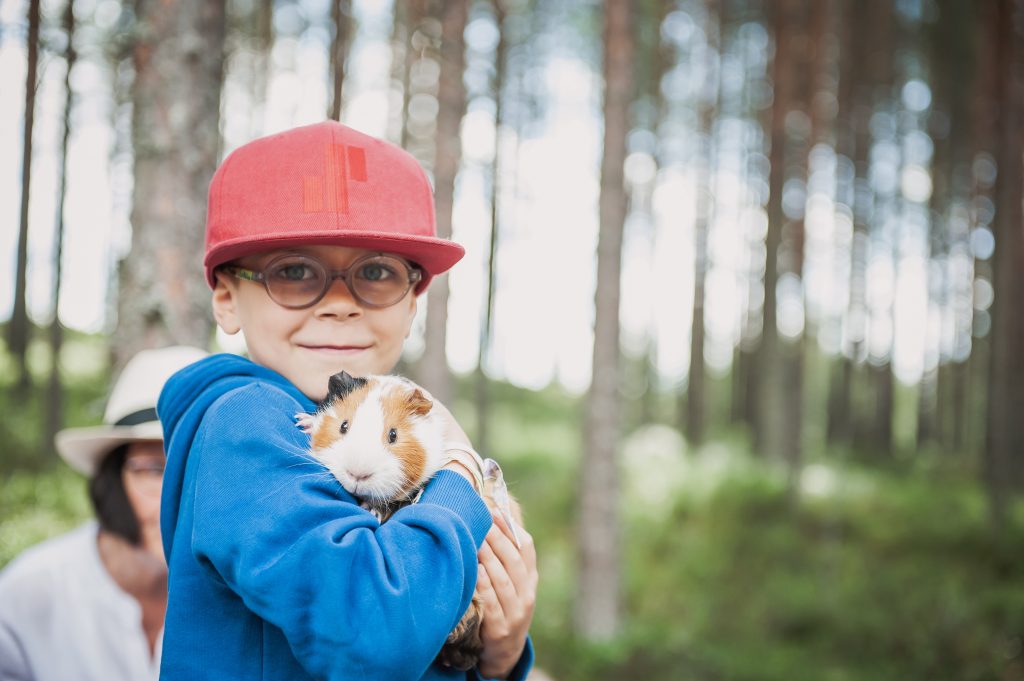 Pieneläinkoti Pihka. Poika pitää marsua sylissä.