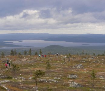 Lappilainen tunturimaisema.