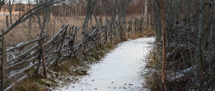 Perinneaitaa Villa Elban ympärillä.