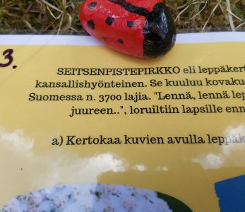 Climate escape -pakopelin leppäkerttutehtävä.