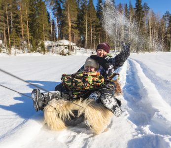 Lasten joulurauhan julistus, lapsia pulkassa.