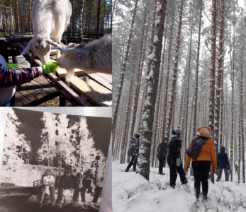 Nuotta-valmennus on erinomainen apu nuorten ryhmäytymiseen