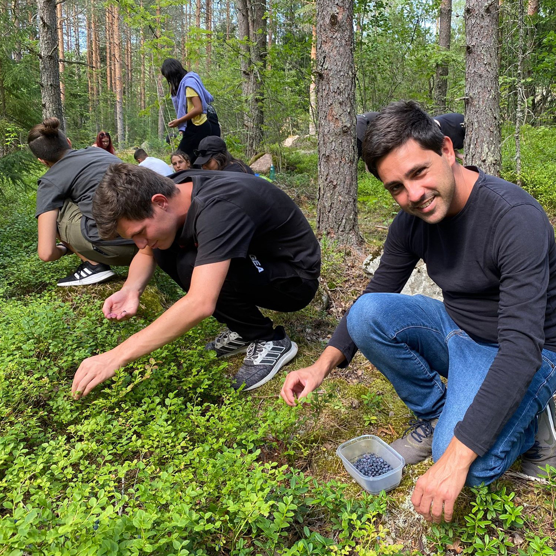 Esteetöntä mustikanpoimintaa metsässä.